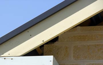 Dunwich fascia repairs