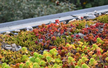 the cost of Dunwich green roof installation