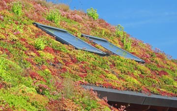 Dunwich living roof systems