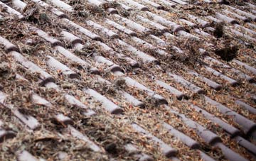 Dunwich roof cleaning companies